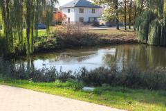 kurierw_182