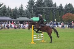 kurierw_375