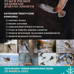 Konkurs Fotograficzny pn.: „Ptaki w polskim krajobrazie jesienno – zimowym”