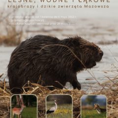 II Regionalny Konkurs Fotograficzny „Leśne, wodne i łąkowe – krajobrazy i dzikie zwierzęta Mazowsza”