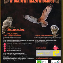 Poznaj polskie sowy