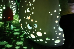fot9