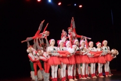 fot13