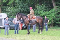 fot38