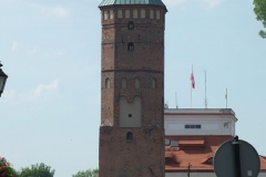 fot219