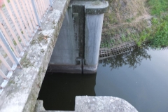 fot203