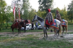 fot231