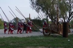 fot236