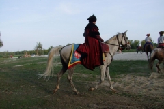 fot240