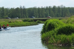 kurierw_104