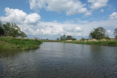 kurierw_110