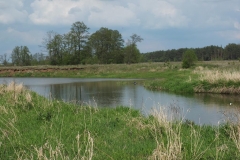 kurierw_96