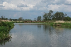 kurierw_98