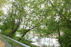 kurierw_2