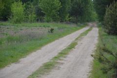 kurierw_2