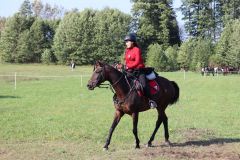 kurierw_258