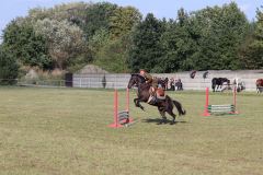 kurierw_273