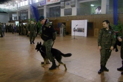fot275
