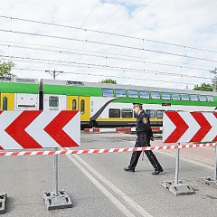 Wykopki rządzą miastem