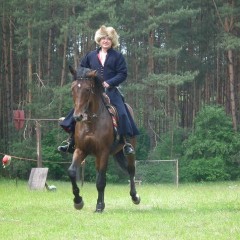 Dzień Konia w Gulczewie