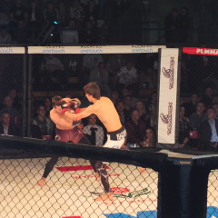 Gala MMA w Wyszkowie