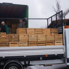 Ponad 1000 skrzynek  jabłek trafiło do mieszkańców Gminy Stoczek