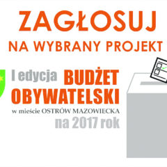 Trwa głosowanie na wybrane projekty w ramach budżetu obywatelskiego