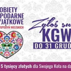 Kobiety gospodarne, wyjątkowe !!!
