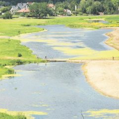 Fundusze rybackie zmieniają Zalew