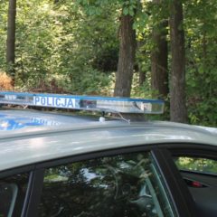 NA GRZYBOBRANIE I NA WYCIECZKĘ DO LASU … Z ROZSĄDKIEM