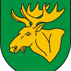 A jednak są pytania i odpowiedzi!