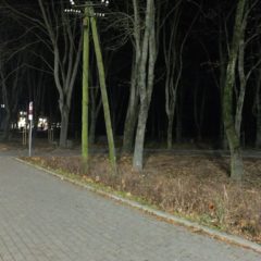 Nowe pomysły urzędników na park miejski w Wyszkowie