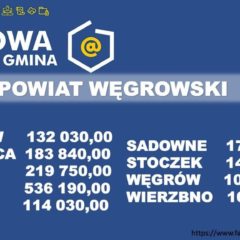 Ponad 1 mln 700 tys. dla gmin na cyfryzację