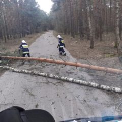 OSP Zaręby Kościelne w akcji