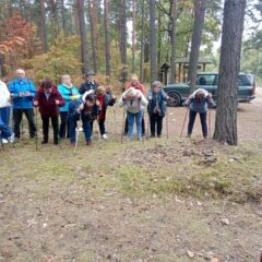 Nordic walking dla seniorów