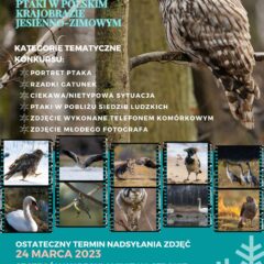 Konkurs Fotograficzny pn.: „Ptaki w polskim krajobrazie jesienno – zimowym”