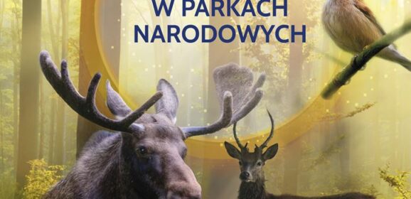 Zobacz jesienną odsłonę Parków Narodowych współpracujących z PGE