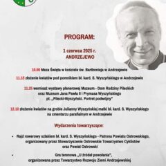 Obchody Dnia Patrona Powiatu Ostrowskiego