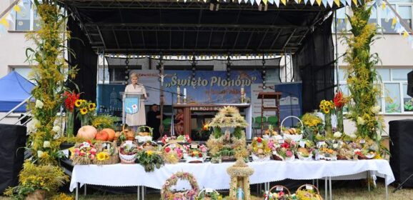 Dożynki Gminy Pułtusk w Płocochowie