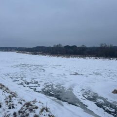 Rzeka Bug ponownie pokazuje swoje groźne oblicze. Czy Gminie Małkinia Górna grozi powódź?