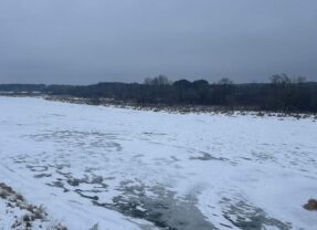 Rzeka Bug ponownie pokazuje swoje groźne oblicze. Czy Gminie Małkinia Górna grozi powódź?